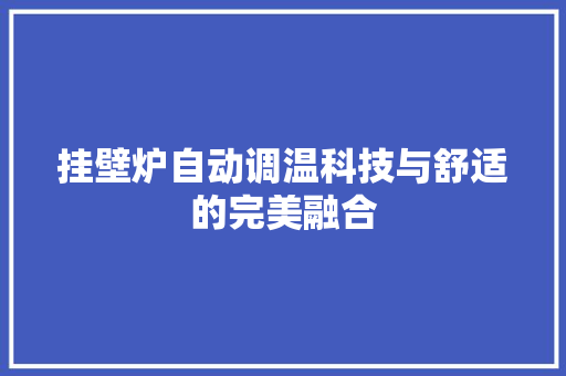 挂壁炉自动调温科技与舒适的完美融合