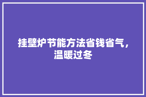 挂壁炉节能方法省钱省气，温暖过冬