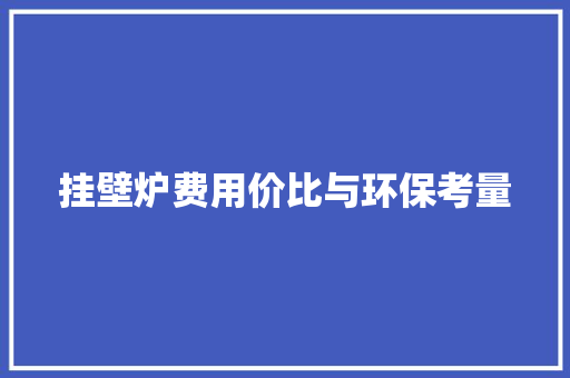 挂壁炉费用价比与环保考量 墙体维修