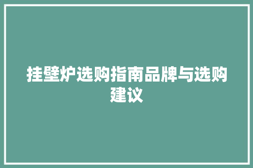 挂壁炉选购指南品牌与选购建议