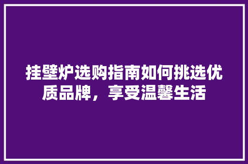 挂壁炉选购指南如何挑选优质品牌，享受温馨生活