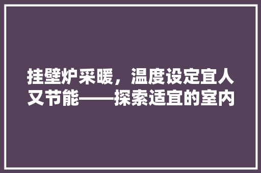 挂壁炉采暖，温度设定宜人又节能——探索适宜的室内温度