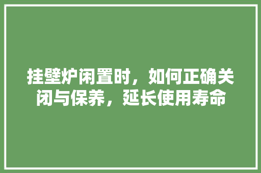 挂壁炉闲置时，如何正确关闭与保养，延长使用寿命