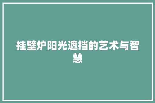 挂壁炉阳光遮挡的艺术与智慧 厨房维修