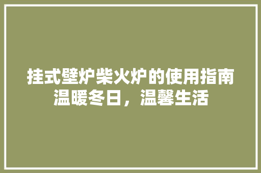 挂式壁炉柴火炉的使用指南温暖冬日，温馨生活