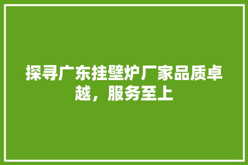 探寻广东挂壁炉厂家品质卓越，服务至上