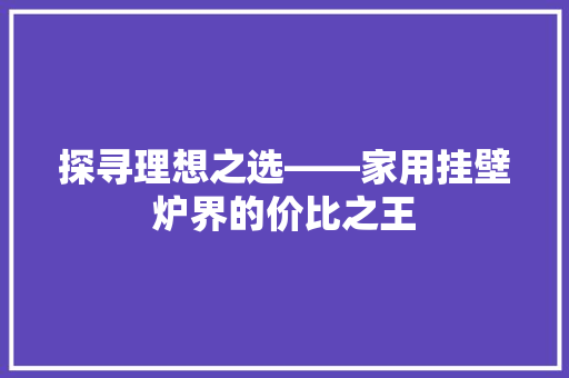 探寻理想之选——家用挂壁炉界的价比之王