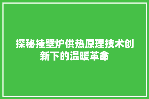 探秘挂壁炉供热原理技术创新下的温暖革命