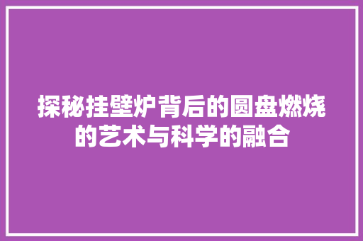 探秘挂壁炉背后的圆盘燃烧的艺术与科学的融合