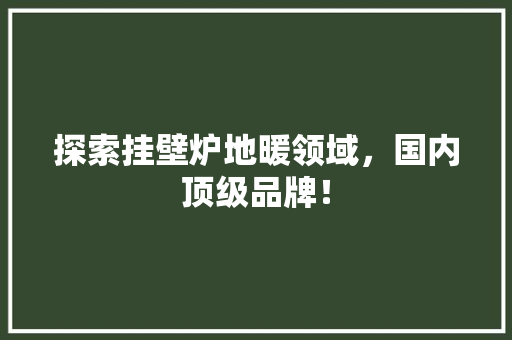探索挂壁炉地暖领域，国内顶级品牌！ 综合便民