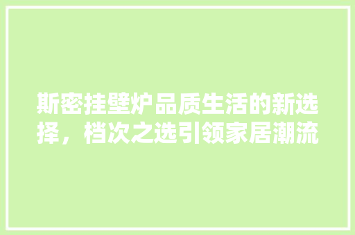 斯密挂壁炉品质生活的新选择，档次之选引领家居潮流 综合便民