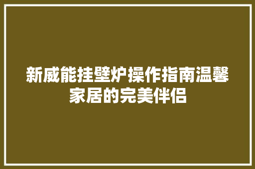 新威能挂壁炉操作指南温馨家居的完美伴侣