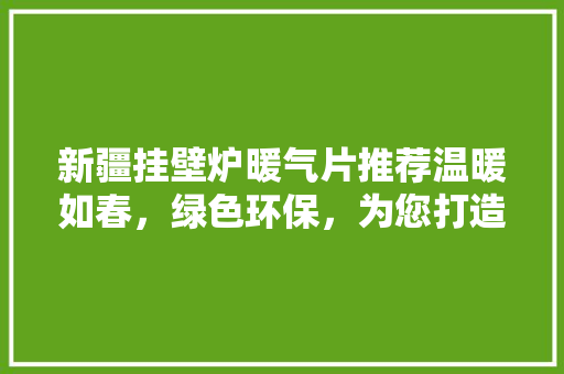 新疆挂壁炉暖气片推荐温暖如春，绿色环保，为您打造舒适家居生活