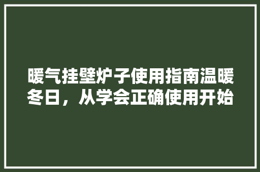 暖气挂壁炉子使用指南温暖冬日，从学会正确使用开始