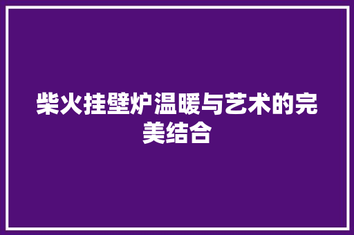 柴火挂壁炉温暖与艺术的完美结合