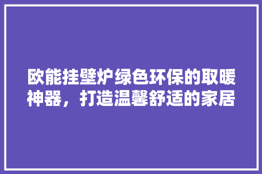 欧能挂壁炉绿色环保的取暖神器，打造温馨舒适的家居环境