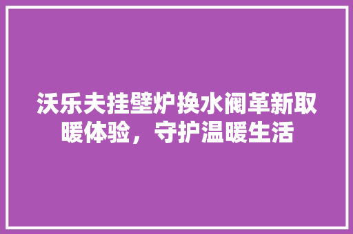 沃乐夫挂壁炉换水阀革新取暖体验，守护温暖生活