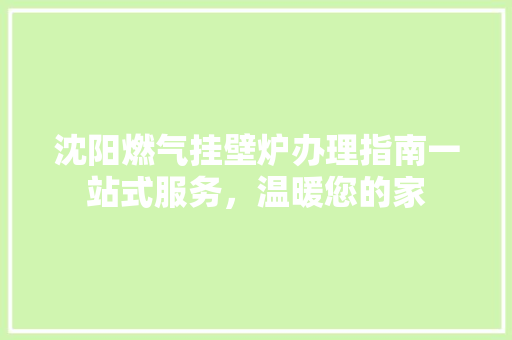 沈阳燃气挂壁炉办理指南一站式服务，温暖您的家