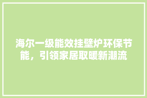 海尔一级能效挂壁炉环保节能，引领家居取暖新潮流
