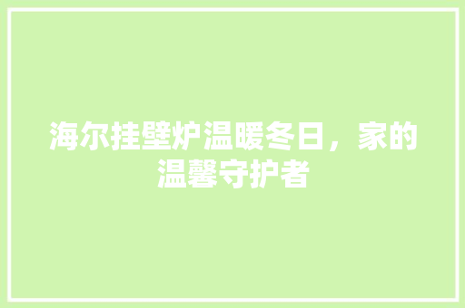 海尔挂壁炉温暖冬日，家的温馨守护者