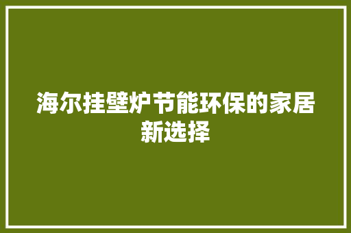 海尔挂壁炉节能环保的家居新选择