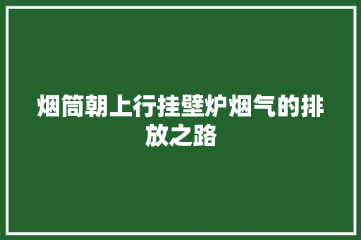 烟筒朝上行挂壁炉烟气的排放之路