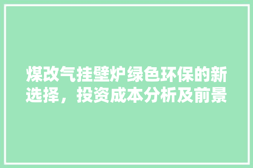 煤改气挂壁炉绿色环保的新选择，投资成本分析及前景展望