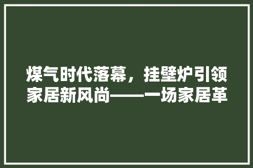 煤气时代落幕，挂壁炉引领家居新风尚——一场家居革命的悄然变革