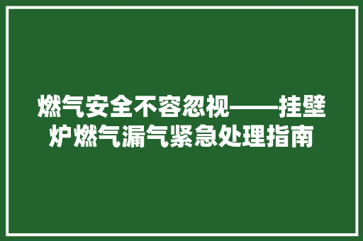 燃气安全不容忽视——挂壁炉燃气漏气紧急处理指南