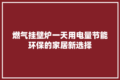 燃气挂壁炉一天用电量节能环保的家居新选择