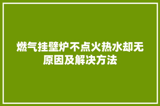燃气挂壁炉不点火热水却无原因及解决方法