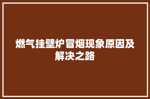 燃气挂壁炉冒烟现象原因及解决之路