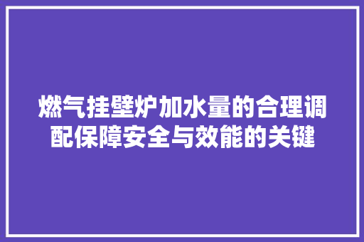 燃气挂壁炉加水量的合理调配保障安全与效能的关键
