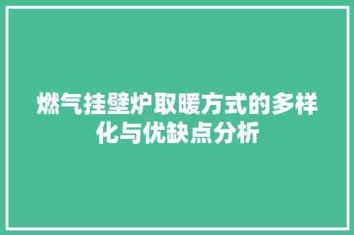 燃气挂壁炉取暖方式的多样化与优缺点分析