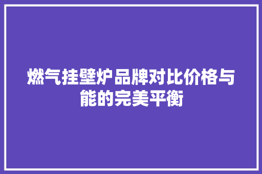 燃气挂壁炉品牌对比价格与能的完美平衡