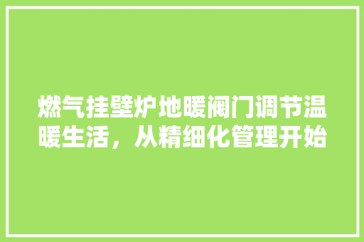 燃气挂壁炉地暖阀门调节温暖生活，从精细化管理开始