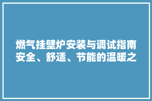 燃气挂壁炉安装与调试指南安全、舒适、节能的温暖之家