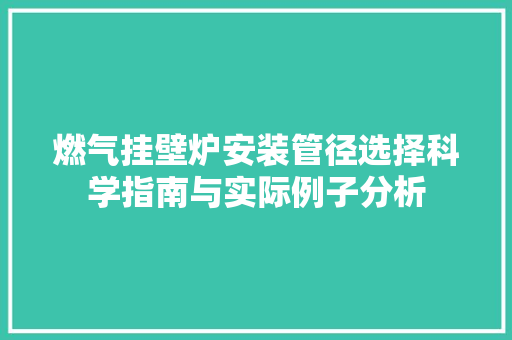 燃气挂壁炉安装管径选择科学指南与实际例子分析