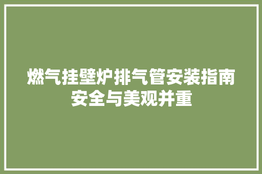 燃气挂壁炉排气管安装指南安全与美观并重