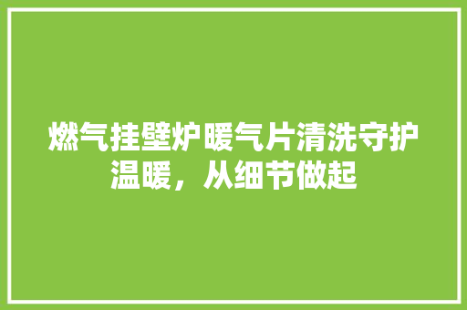 燃气挂壁炉暖气片清洗守护温暖，从细节做起