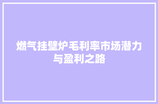 燃气挂壁炉毛利率市场潜力与盈利之路