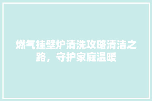 燃气挂壁炉清洗攻略清洁之路，守护家庭温暖