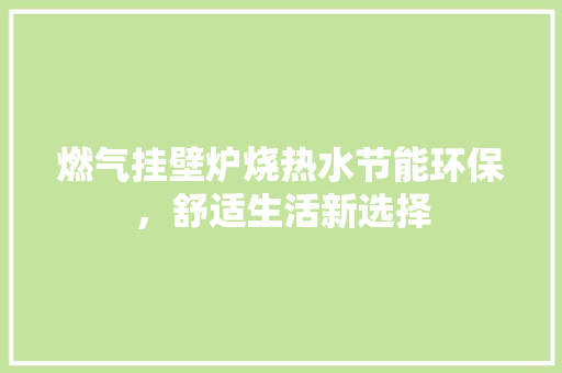 燃气挂壁炉烧热水节能环保，舒适生活新选择