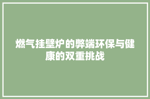 燃气挂壁炉的弊端环保与健康的双重挑战