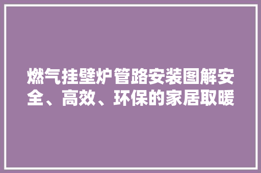 燃气挂壁炉管路安装图解安全、高效、环保的家居取暖之路