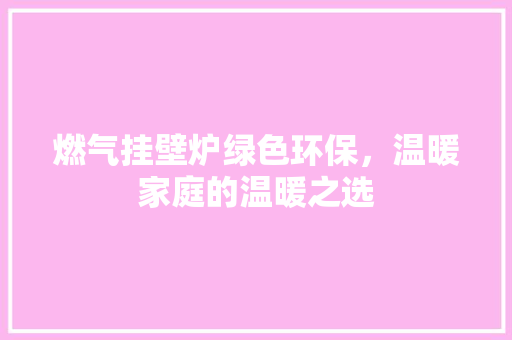 燃气挂壁炉绿色环保，温暖家庭的温暖之选