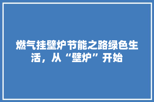 燃气挂壁炉节能之路绿色生活，从“壁炉”开始