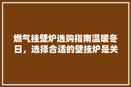 燃气挂壁炉选购指南温暖冬日，选择合适的壁挂炉是关键