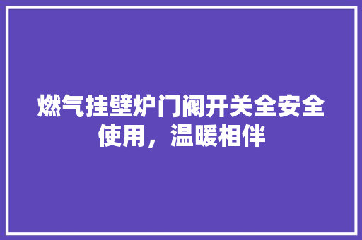 燃气挂壁炉门阀开关全安全使用，温暖相伴