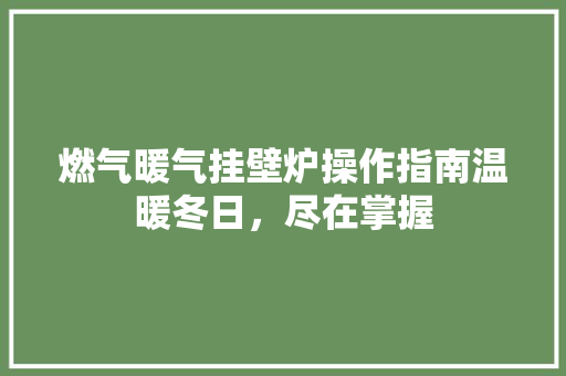 燃气暖气挂壁炉操作指南温暖冬日，尽在掌握